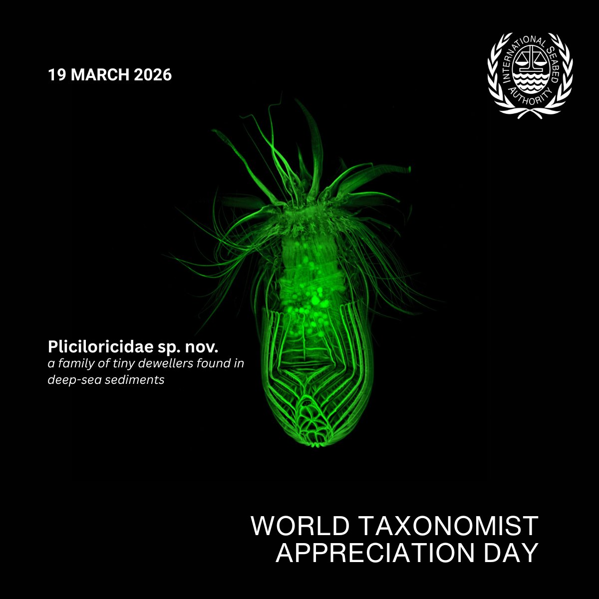 International Seabed Authority tweet media