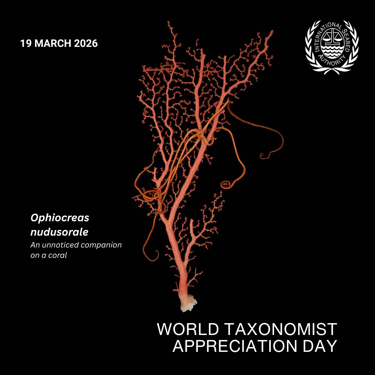 International Seabed Authority tweet media