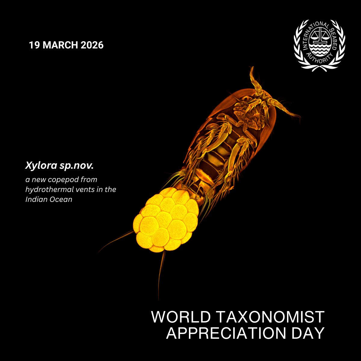 International Seabed Authority tweet media