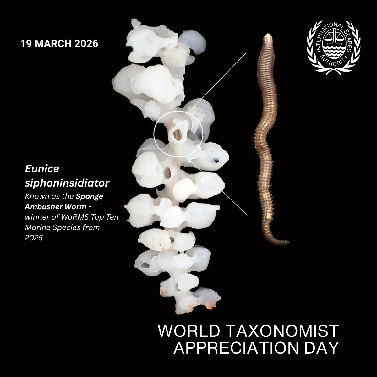 International Seabed Authority tweet media