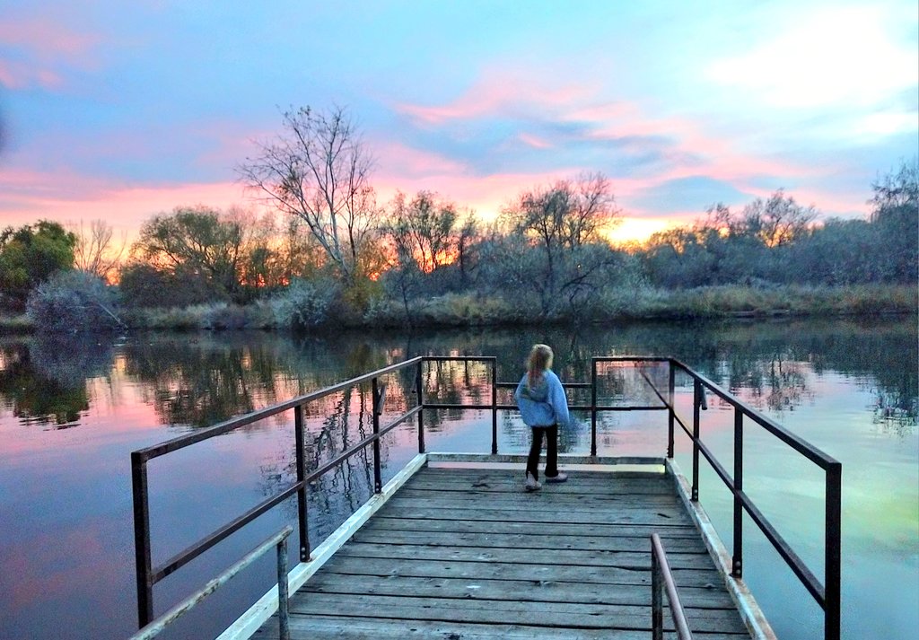 julie 💭 tweet media