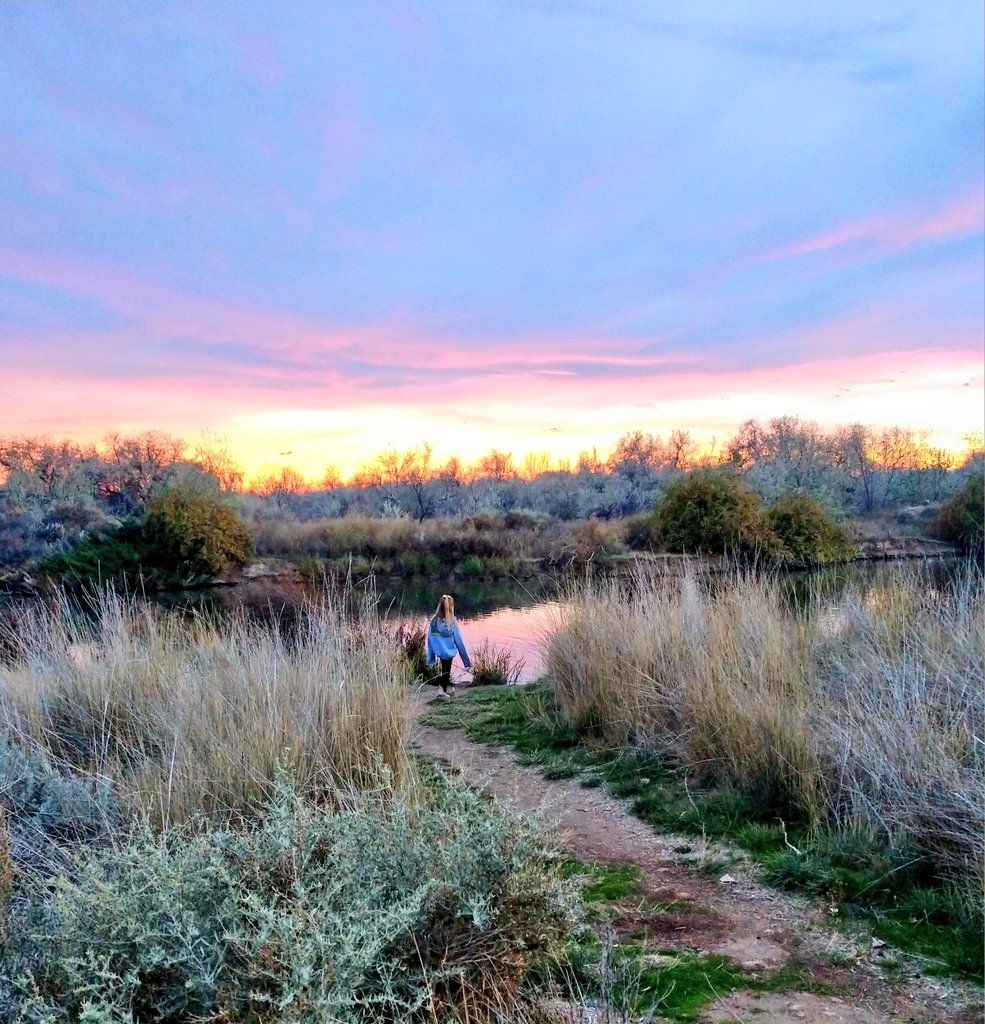 julie 💭 tweet media