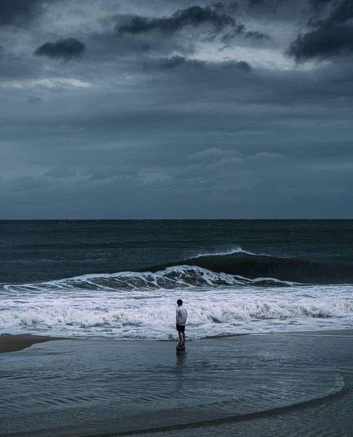 Nationalist tweet media