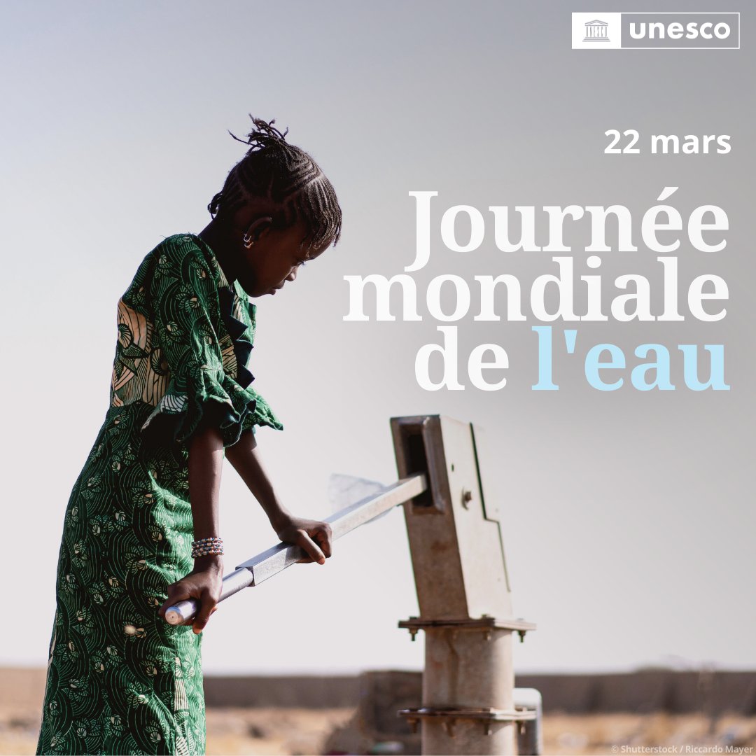 Nations Unies (ONU) tweet media