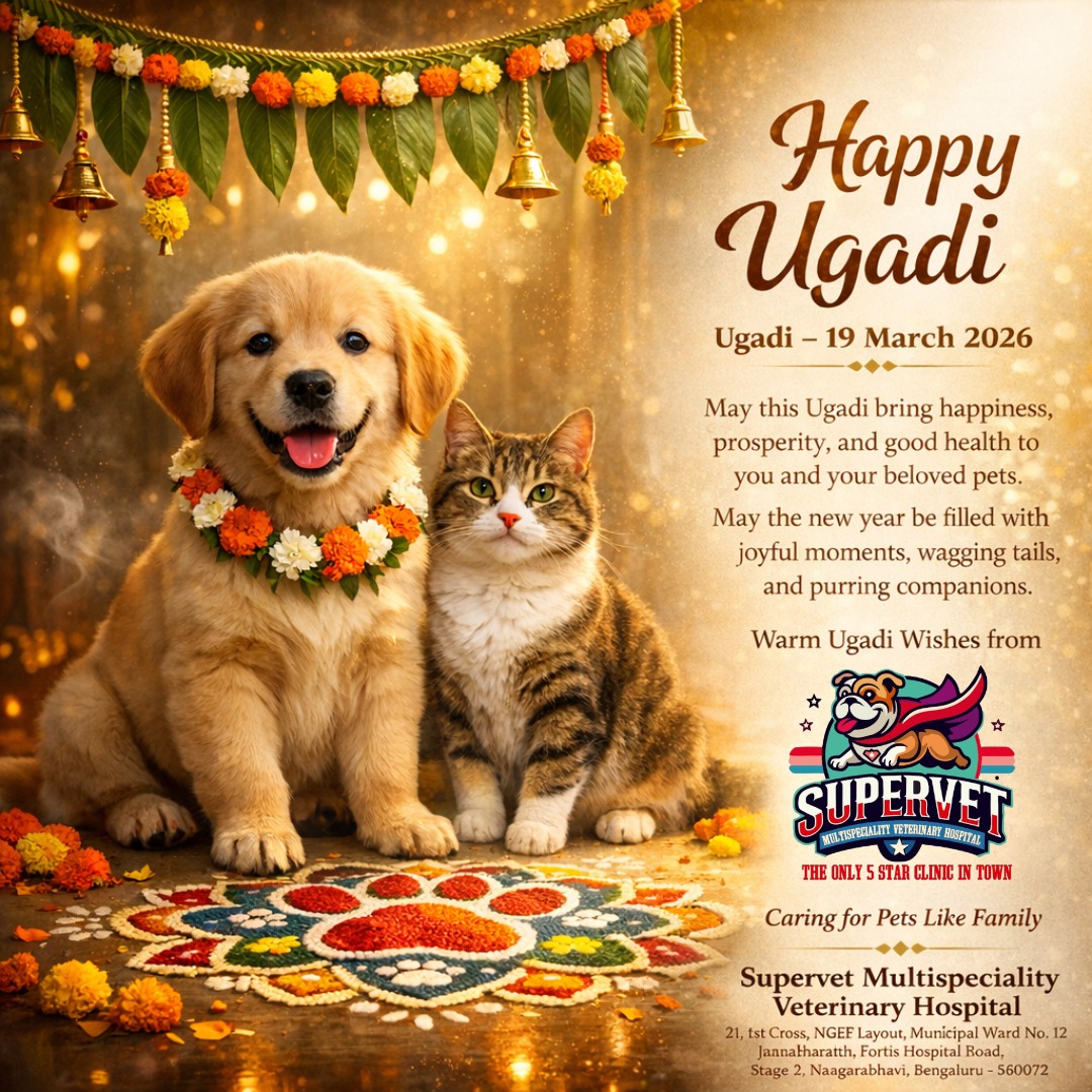 Supervet Veterinary Hospital tweet media