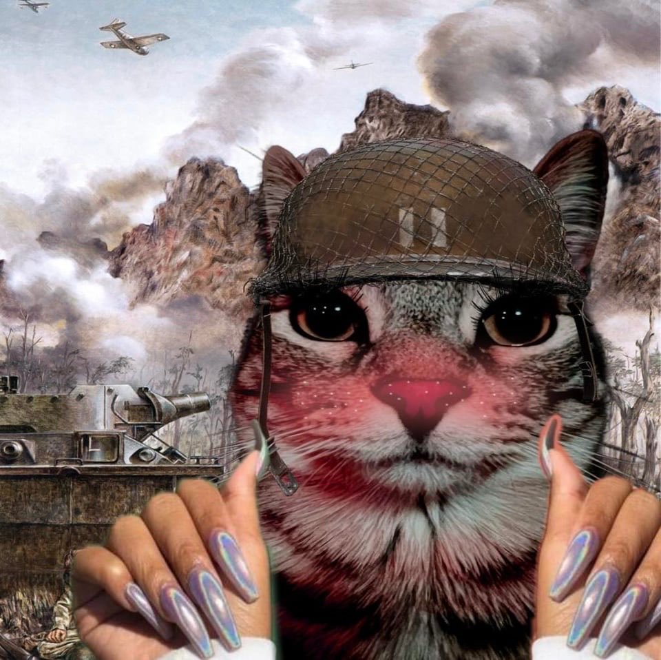 ashton 💫 tweet media