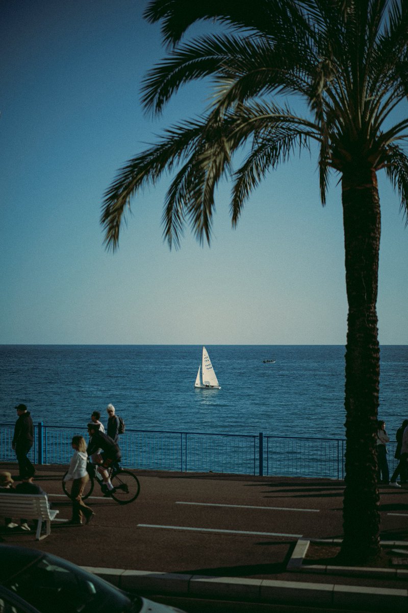 Miami Rize ♪ tweet media