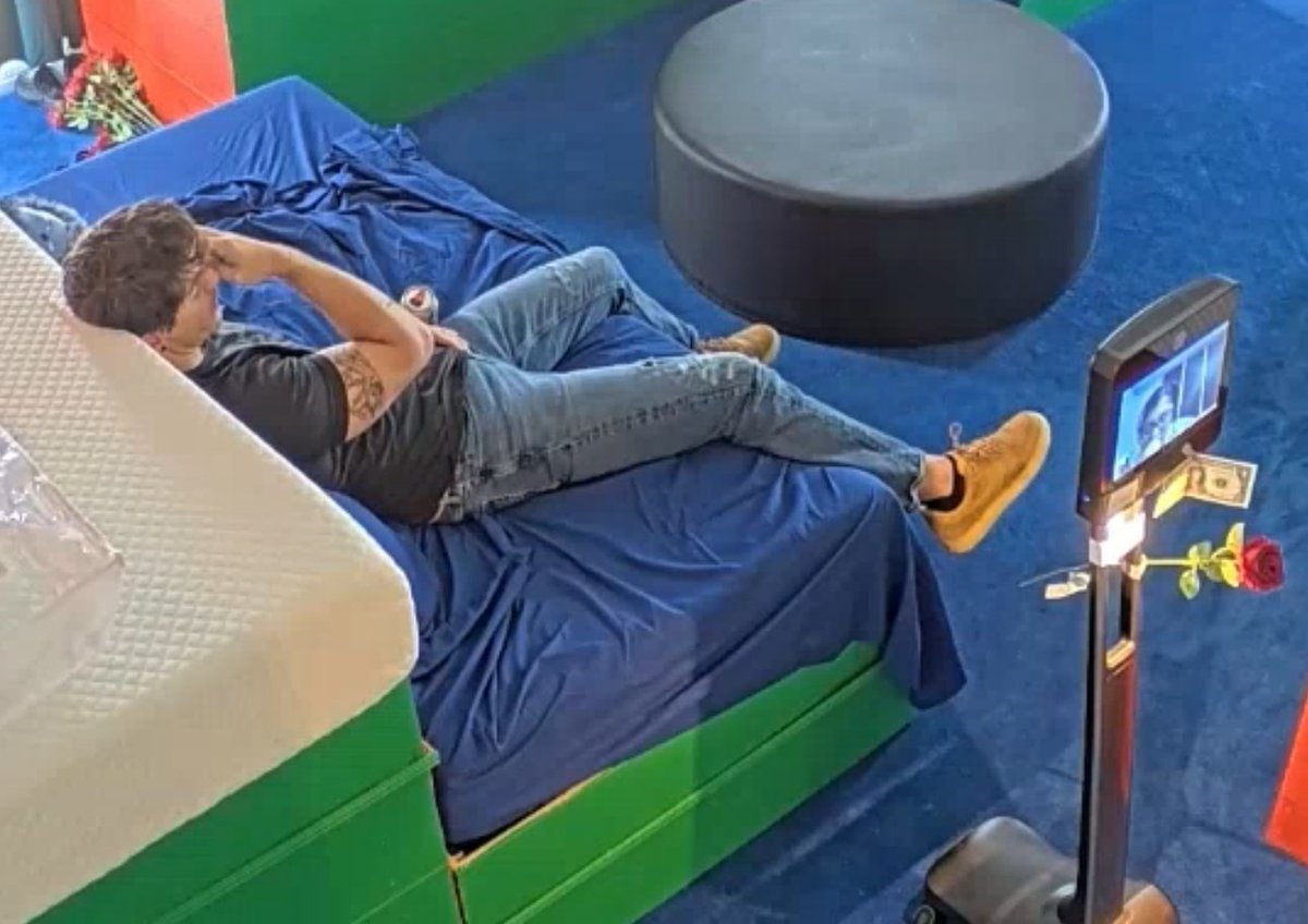 Shirmptank tweet media