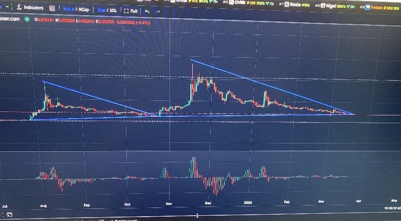 ThePPShow tweet media