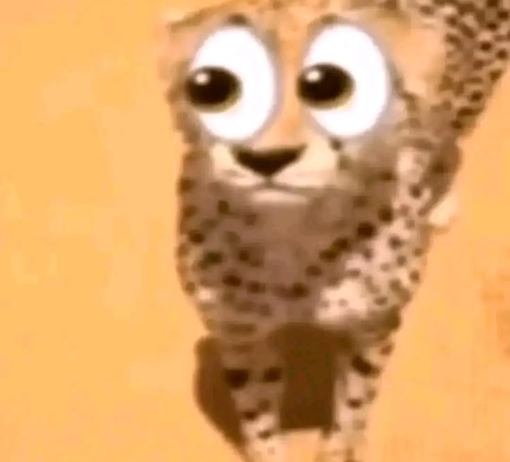 ⚢︎ lynn Ψ | au's fix 🥍 tweet media