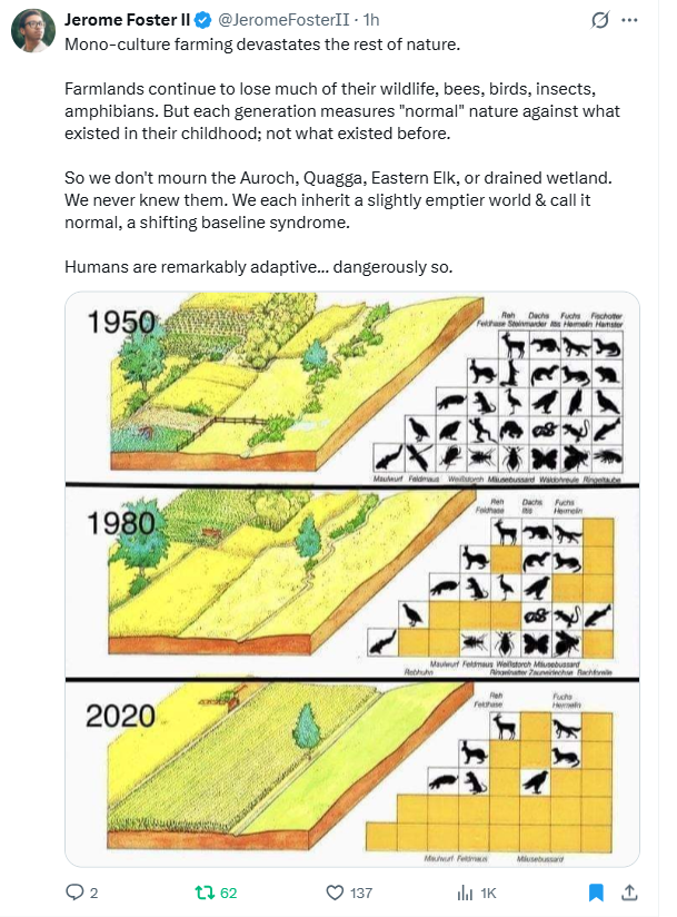 Susan Dolan tweet media