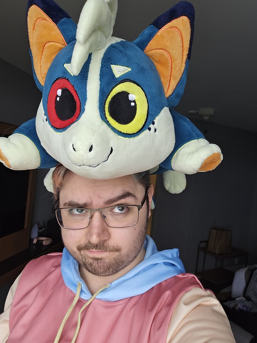 CorgiCam tweet media