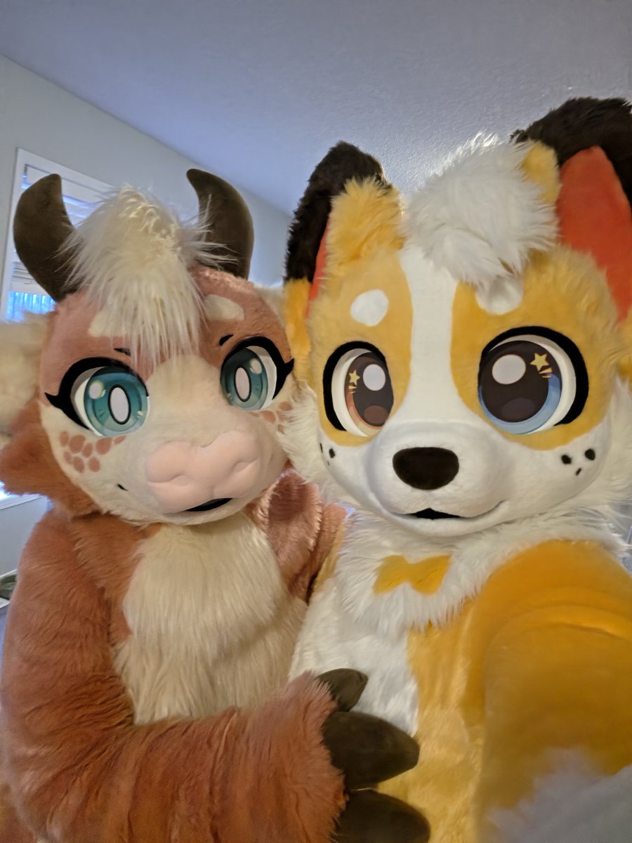 CorgiCam tweet media