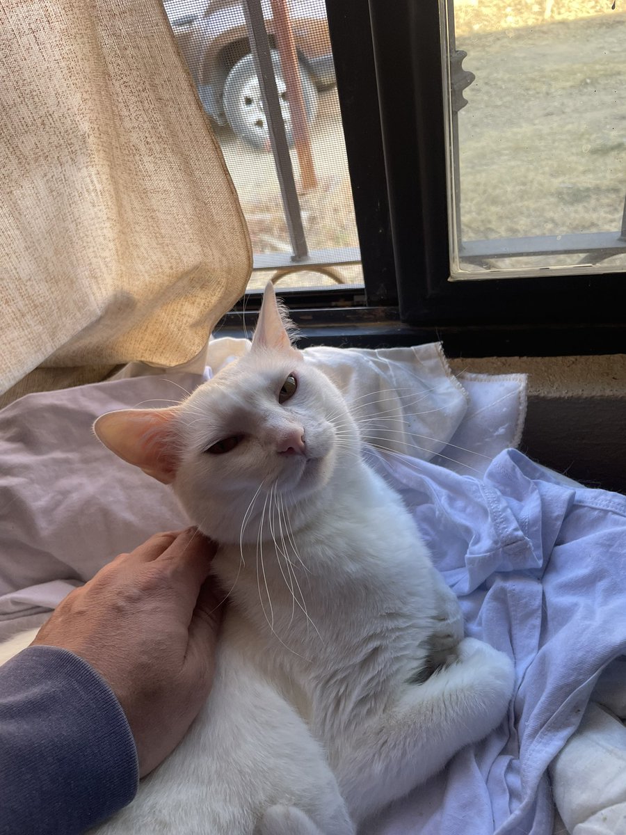 Colin Gee tweet media