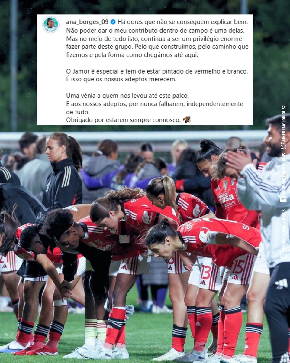 Information Glorious - SL Benfica tweet media