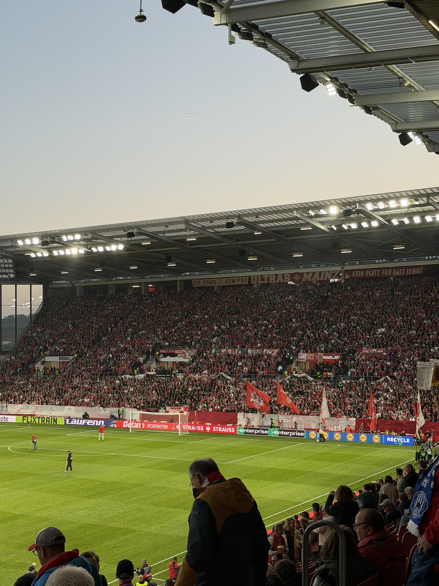 David 💻 tweet media