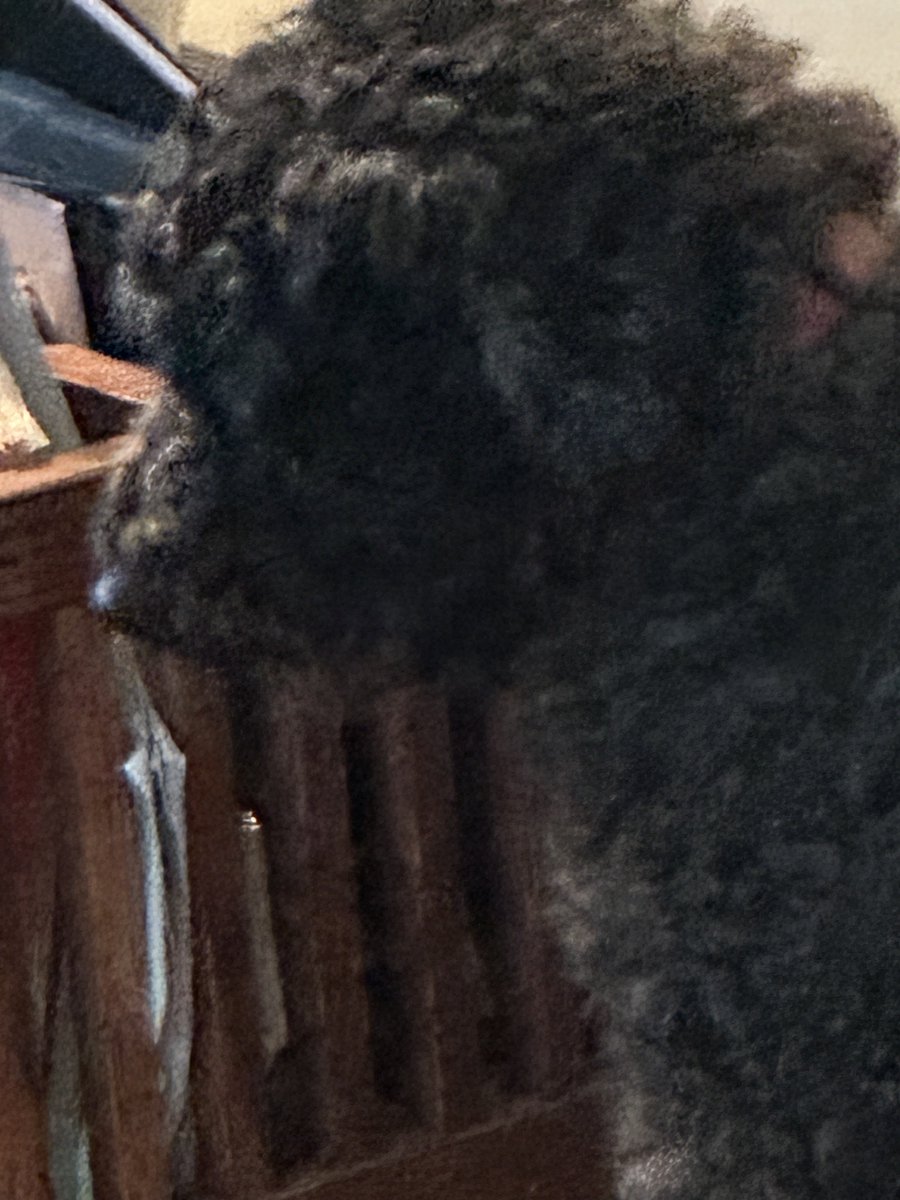 T.C. Boyle tweet media