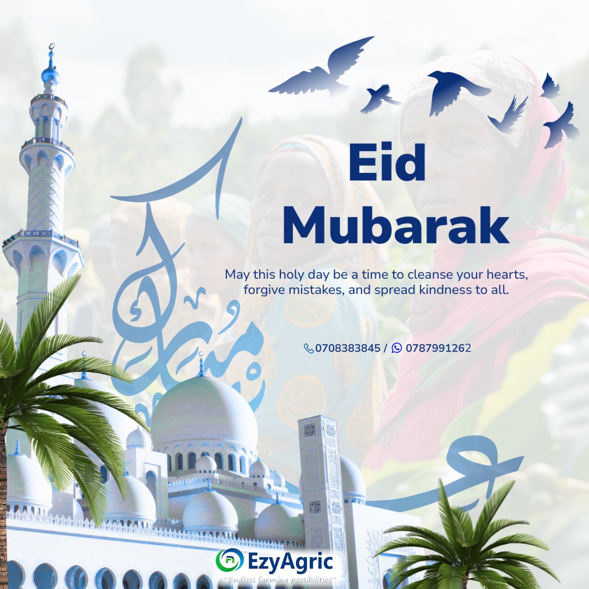 ezyagric's tweet photo. Eid Mubarak ๐โจ
EzyAgric wishes all muslims a happy Eid.
May Allah accept your fasting & prayers this Ramadhan.
Wishing you and your loved ones peace, joy, and abundant blessings.
#ezyagric #FarmtheSmartWay #EidMubarak
@BukoolaChemical @GrainpulseUG @NAGRC_DB @KaffiikaFeeds https://t.co/uCaF7RPAfH