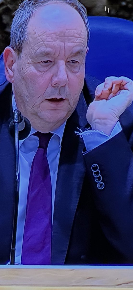 Peter Buitelaar tweet media