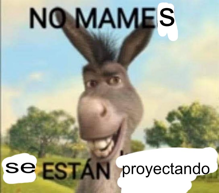 𝗐𝗈𝗇𝗇𝗂𝖾 ᦂ + 🐈 tweet media