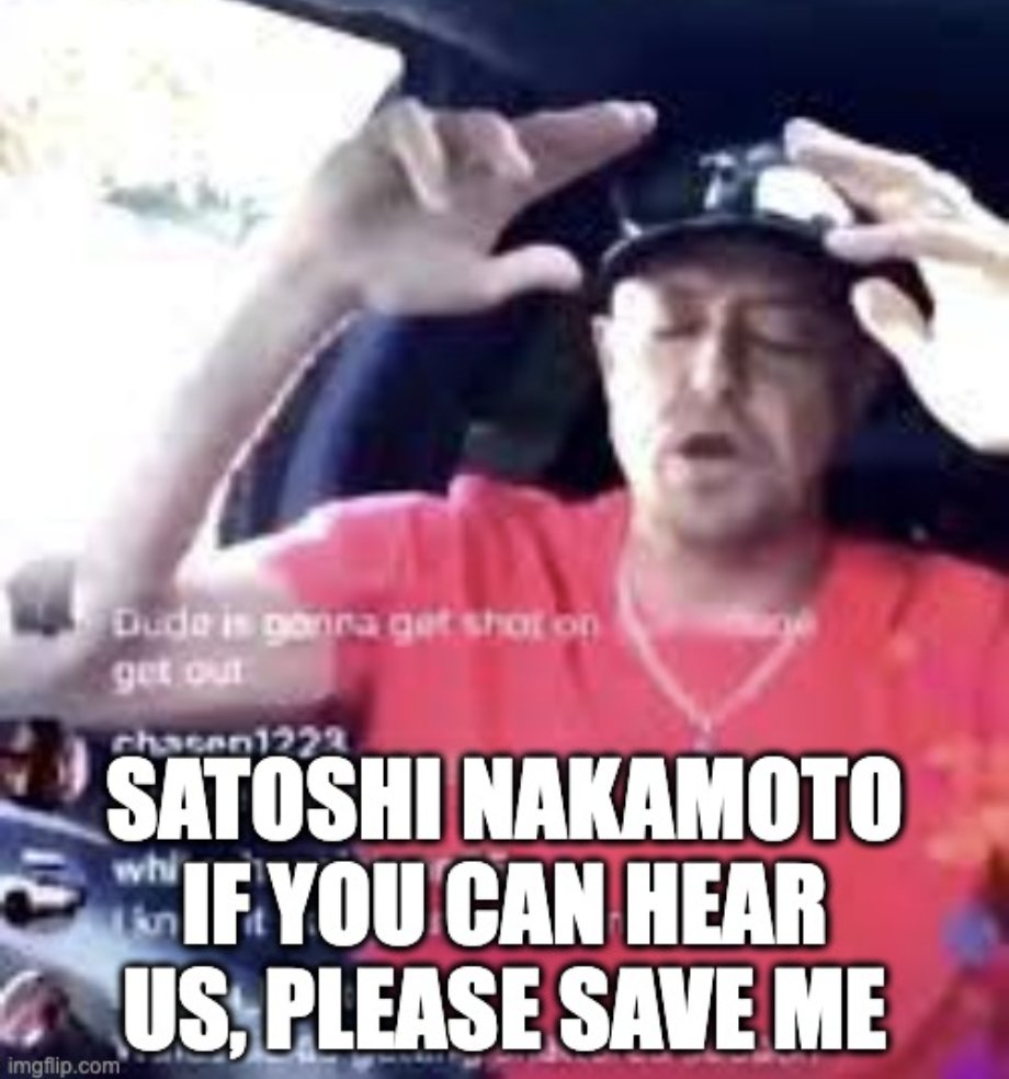 stu 🥪🥞 tweet media