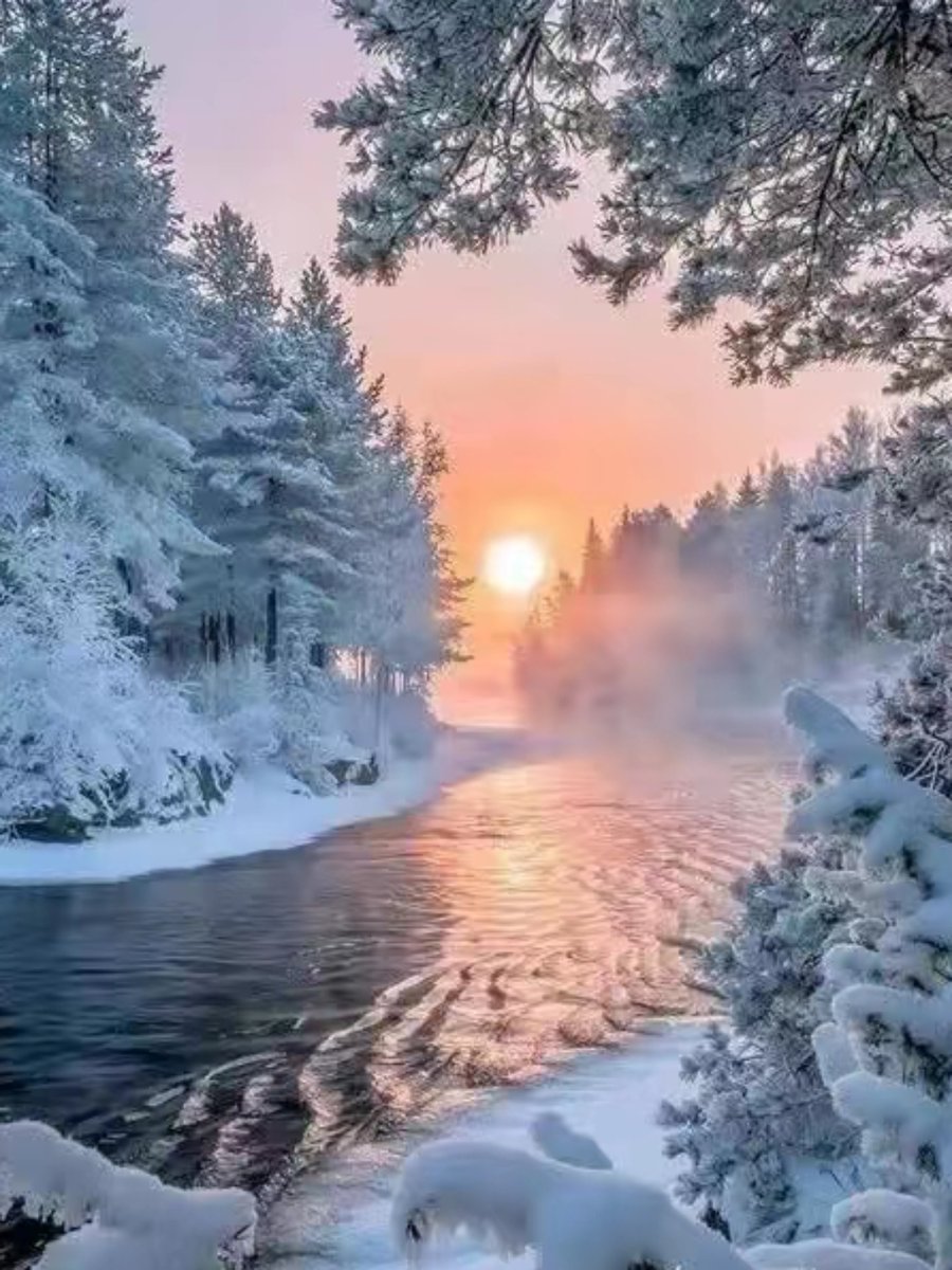 Bruce Beard tweet media