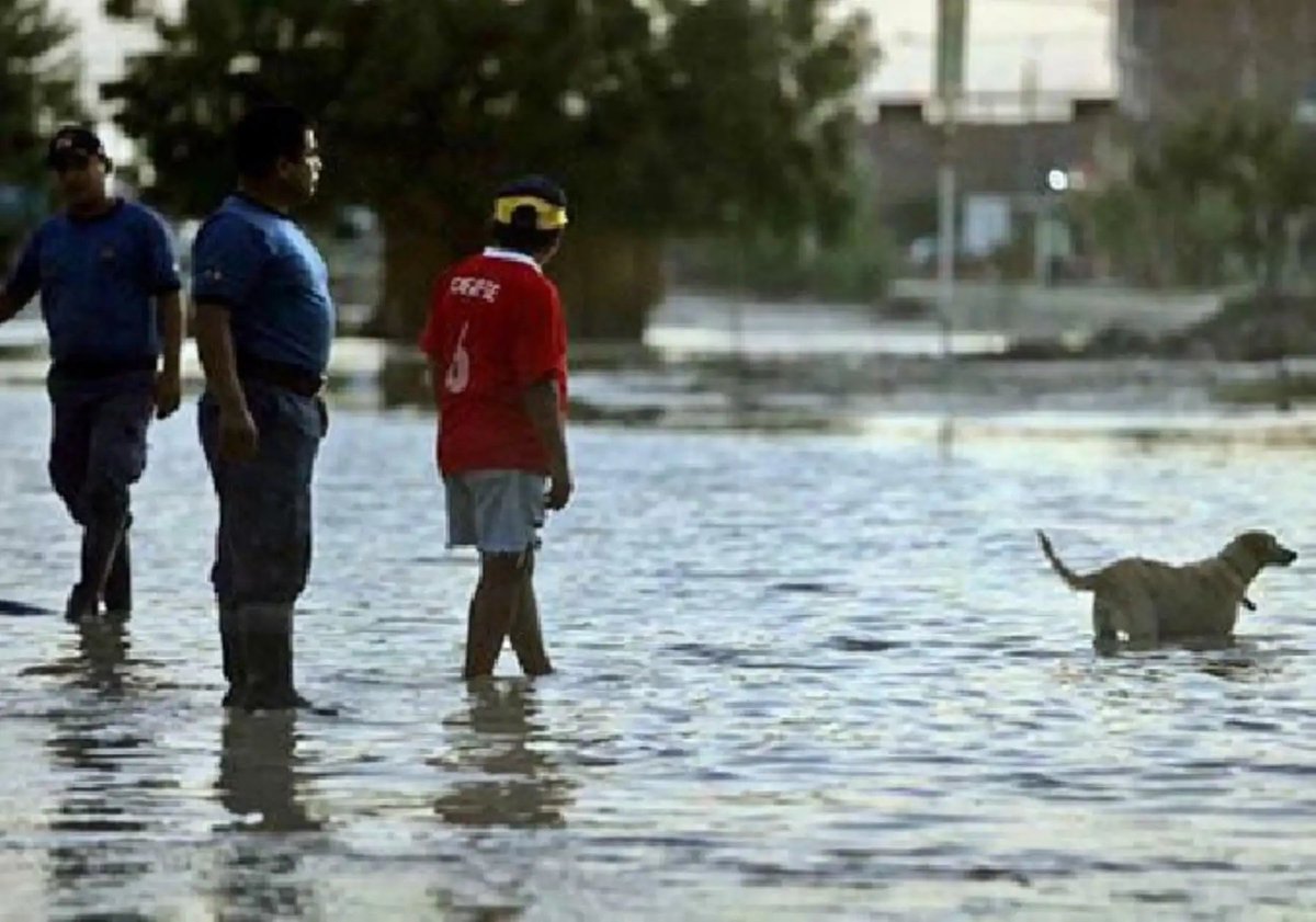 Agencia Andina tweet media
