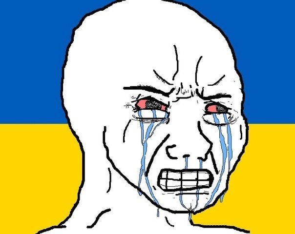 Fish Tank Media tweet media