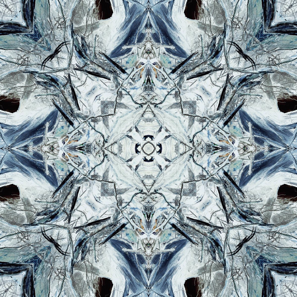 Brother12 tweet media