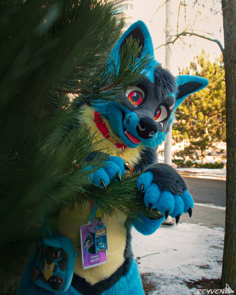 RedWing Lu 🔜 Furizon tweet media