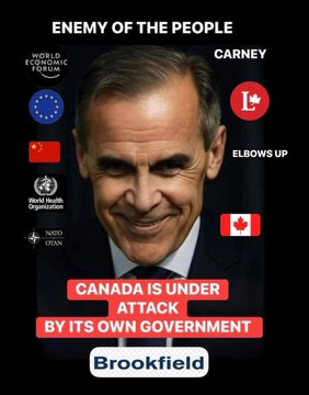 Consuelo Ch. tweet media