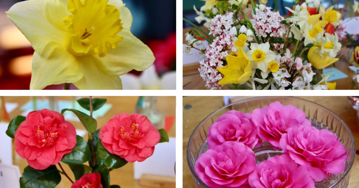 Around Wellington tweet media