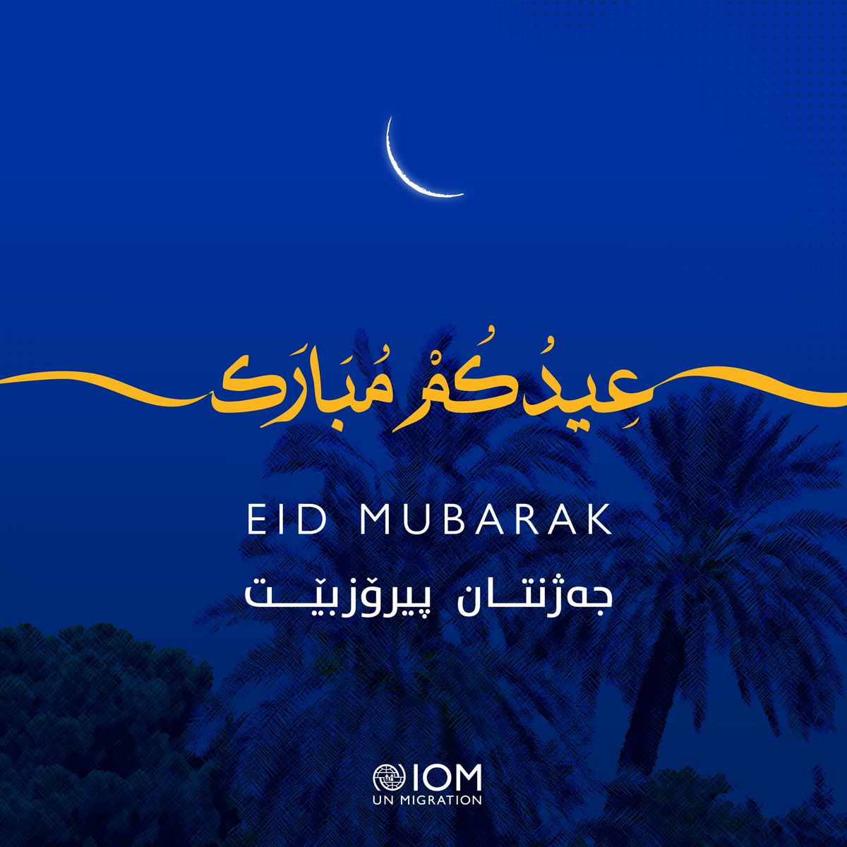 IOM Iraq tweet media