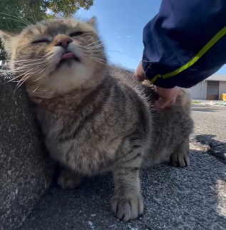 Hot Lesson tweet media