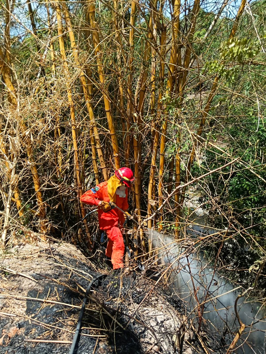 Protección Civil de El Salvador tweet media