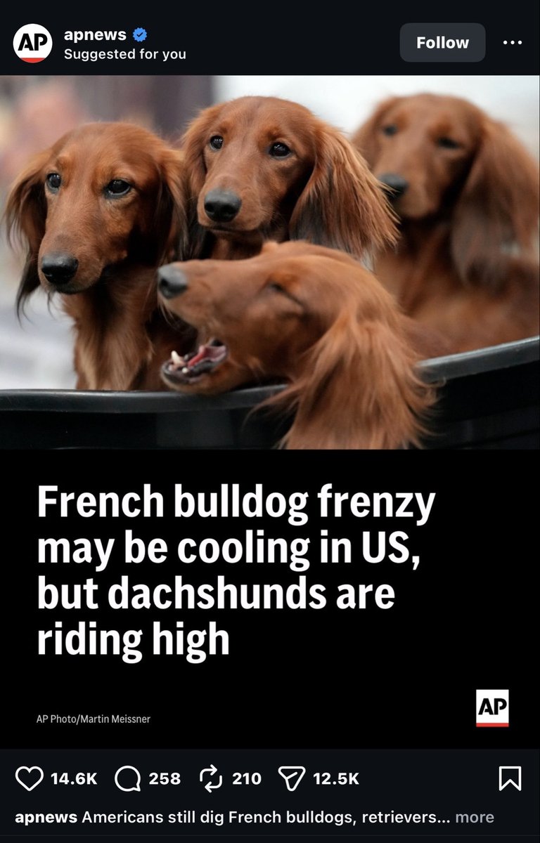 A. Mando tweet media