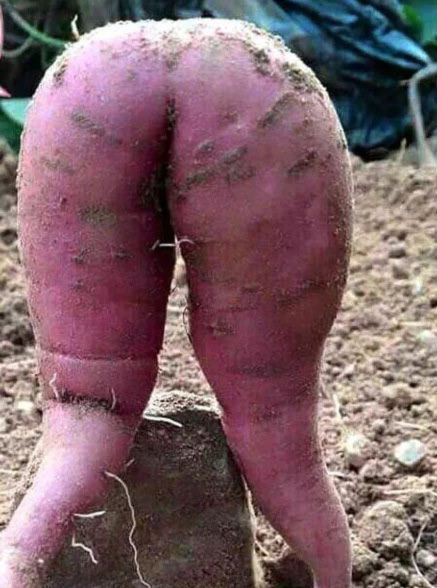 Lord_Wizzy tweet media