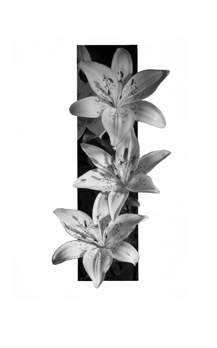 sephira-☕️ tweet media