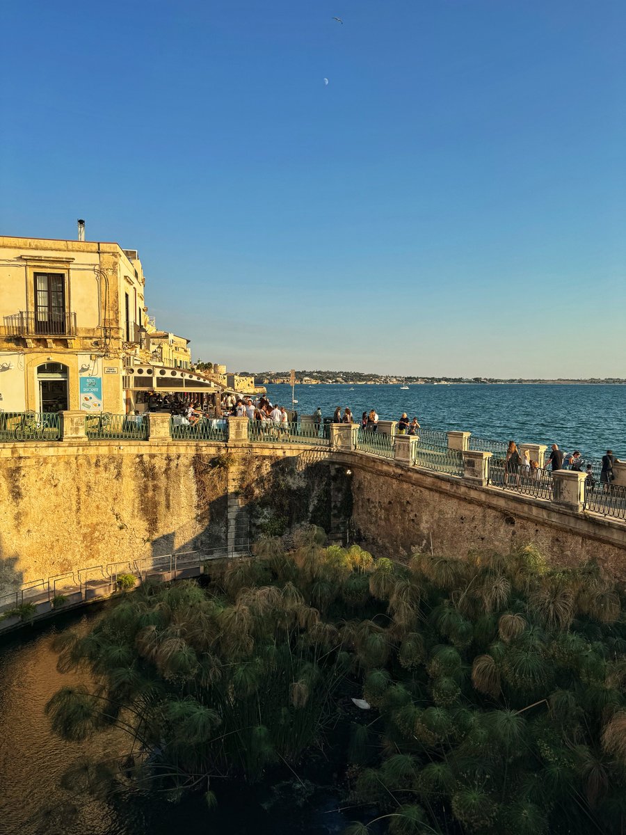 Glimpses of Culture 🏛️ tweet media