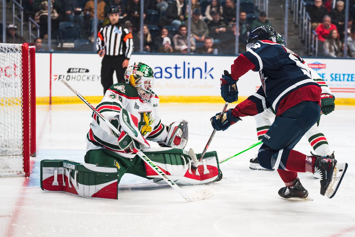 Newfoundland Regiment tweet media