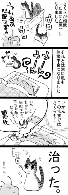 四コマ「そうはならんかった」

さくらが元気になってくれて本当に良かったです。
さくらが元気ならそれでいいんだよ…
私のことは気にしないでさ…

#四コマ漫画 