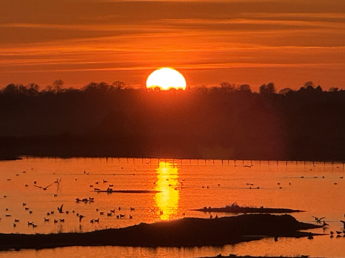 💚 Codey Miller 💚 tweet media