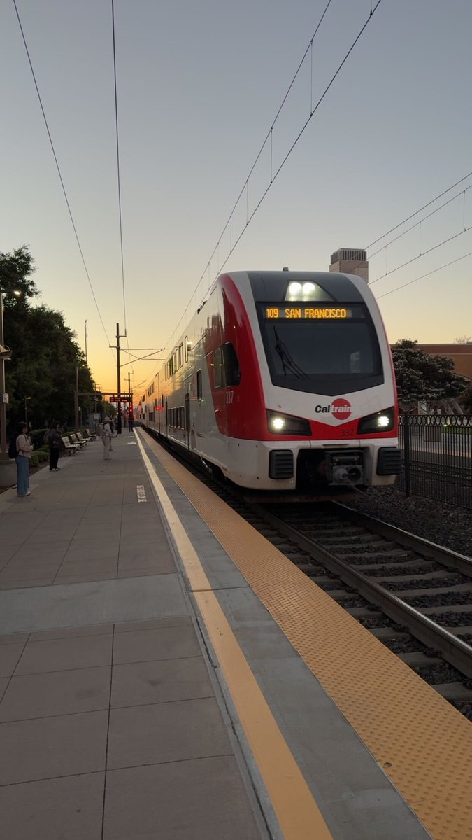 Bora | Reacher tweet media