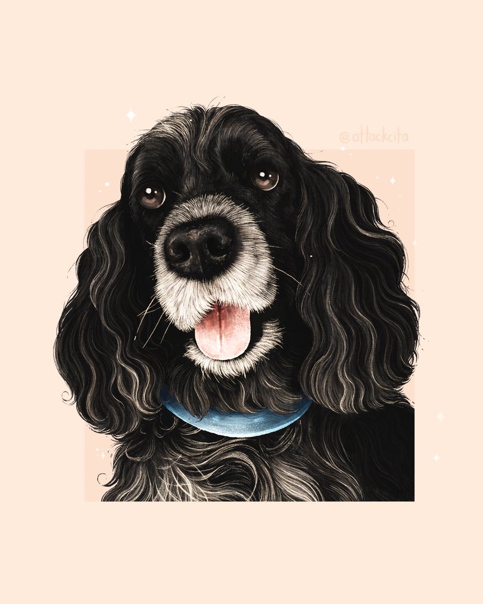 Claudia Arlett tweet media