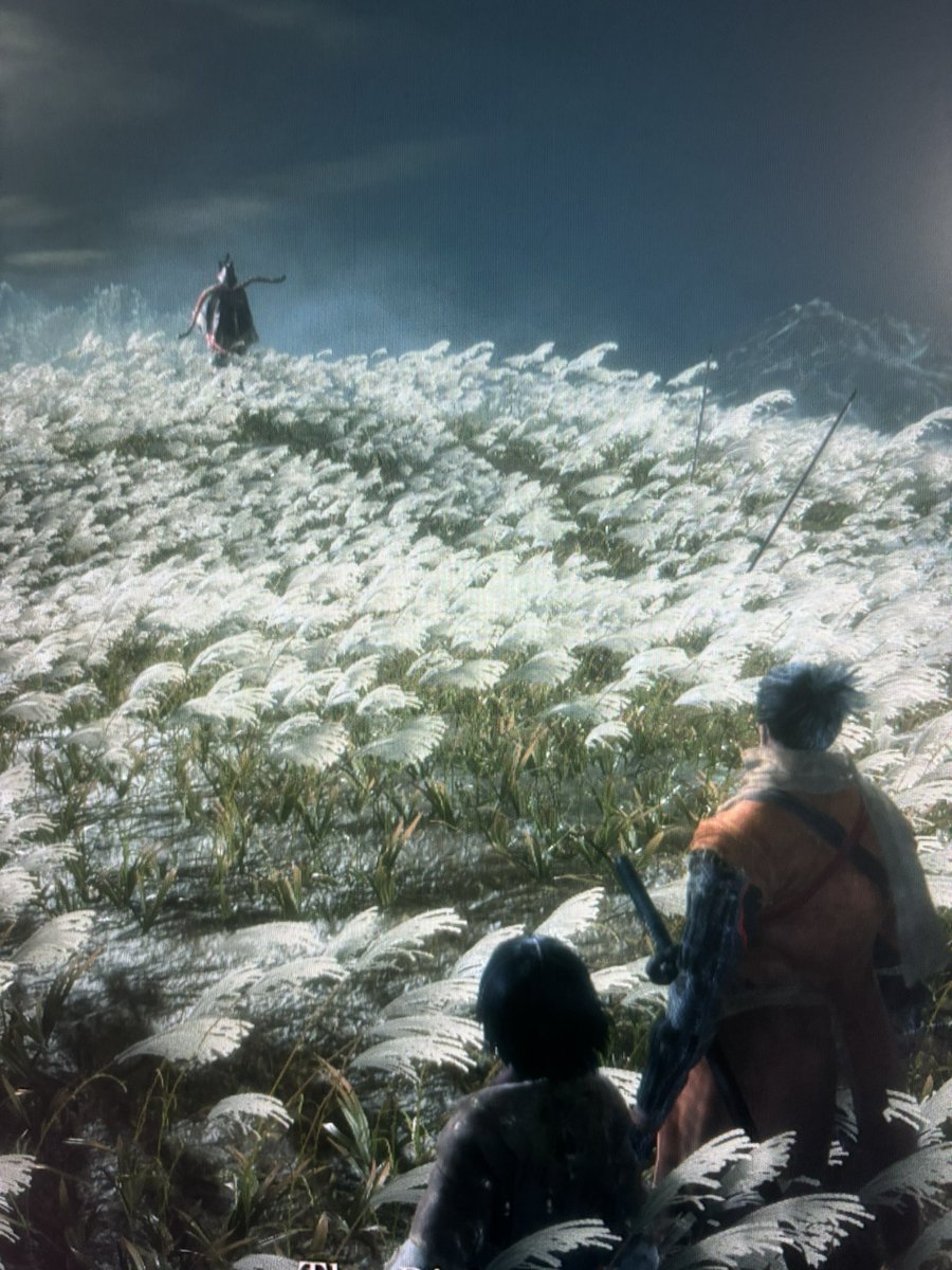 MsLee🌷 (miyazaki’s LEGIT chosen prophet) tweet media