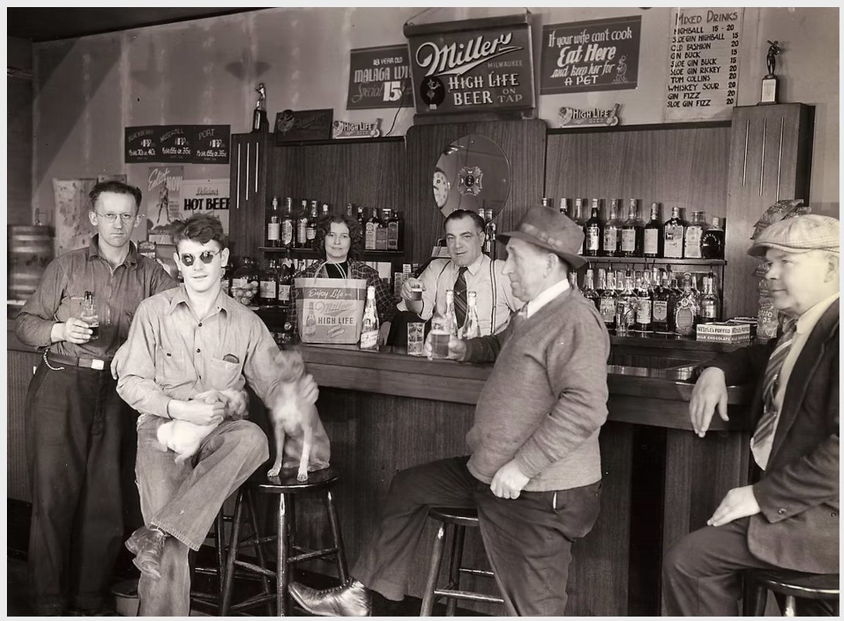 Halle Gilbert tweet media