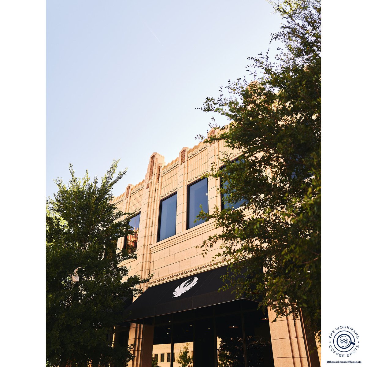 Alex Workman tweet media