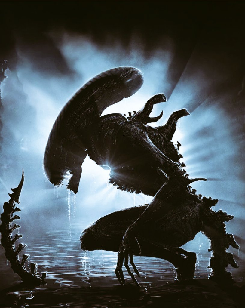 Johannes F. SEXEDY 😎 tweet media