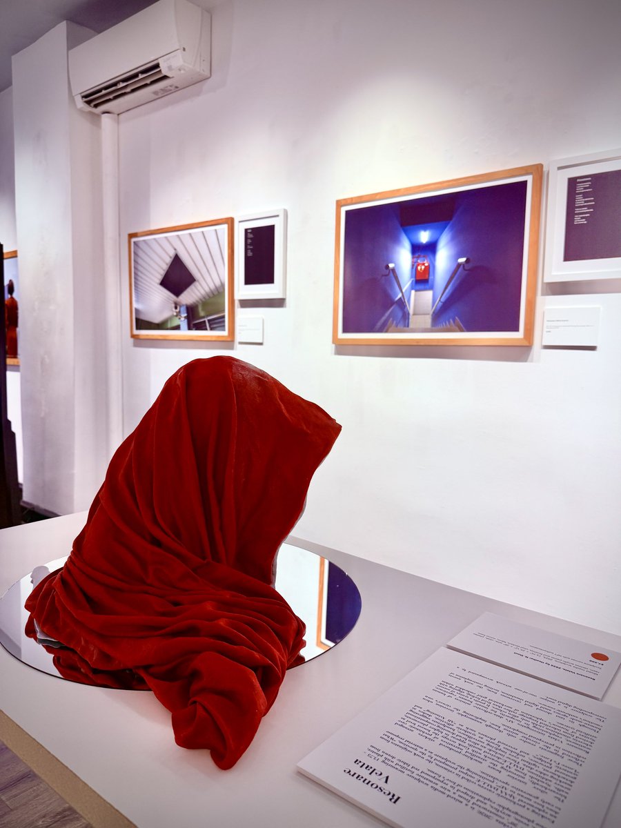 Heather N. Stout tweet media