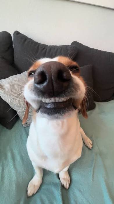 BengeSzn tweet media